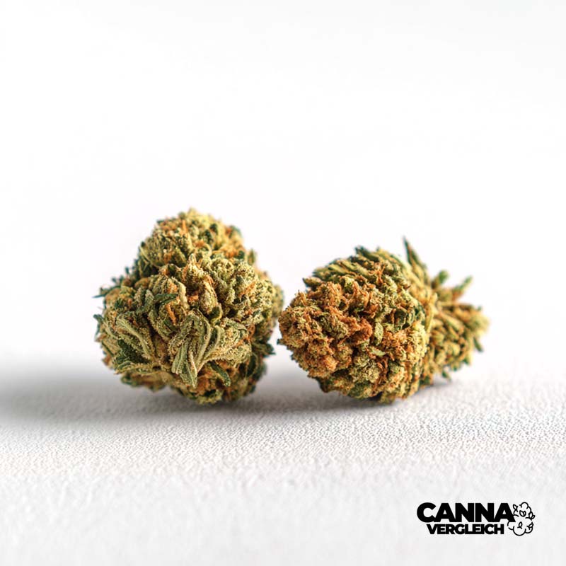 Wedding Cake x Jet Fuel Gelato