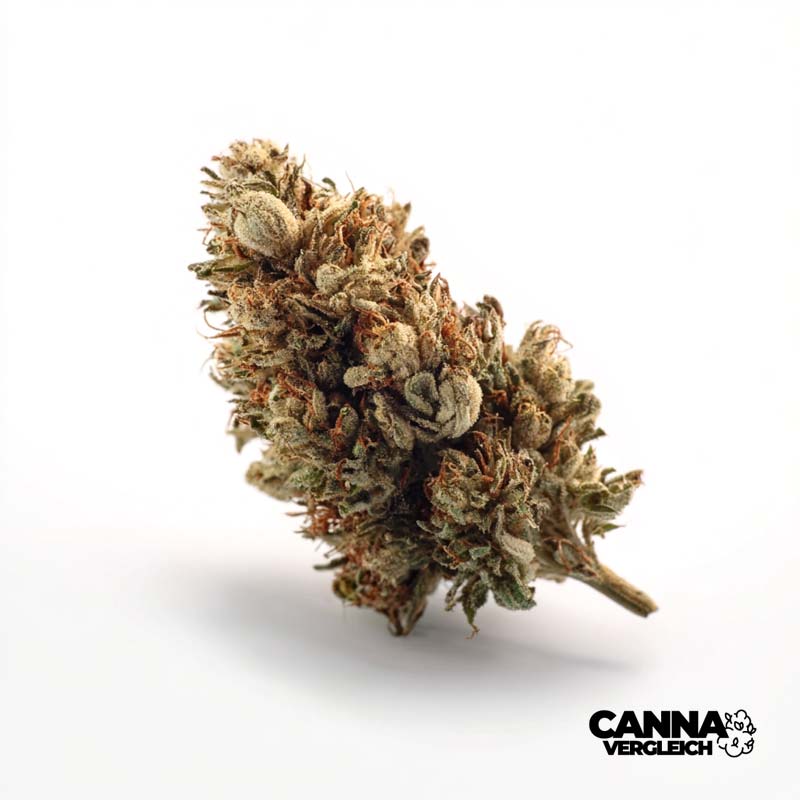 Cannamedical Hybrid - THC 28% - ab 5,35 EUR Cannabis Preisvergleich