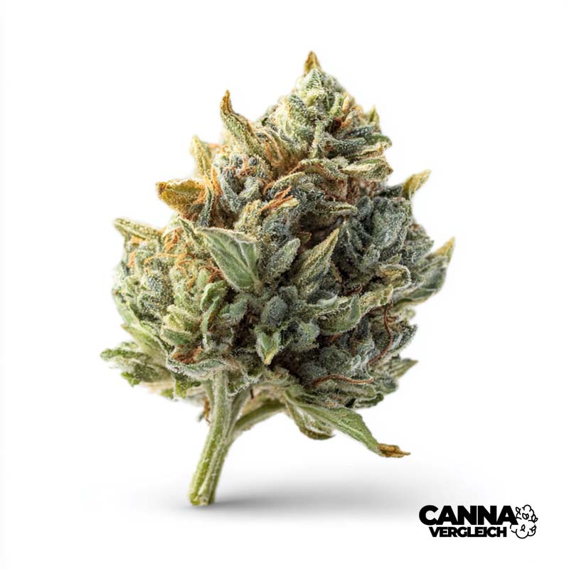 Demecan Hybrid - THC 24% - ab 4,78 EUR Cannabis Preisvergleich