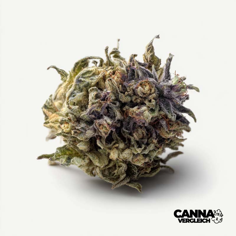 alephSana Sativa - THC 6% - ab 6,84 EUR Cannabis Preisvergleich